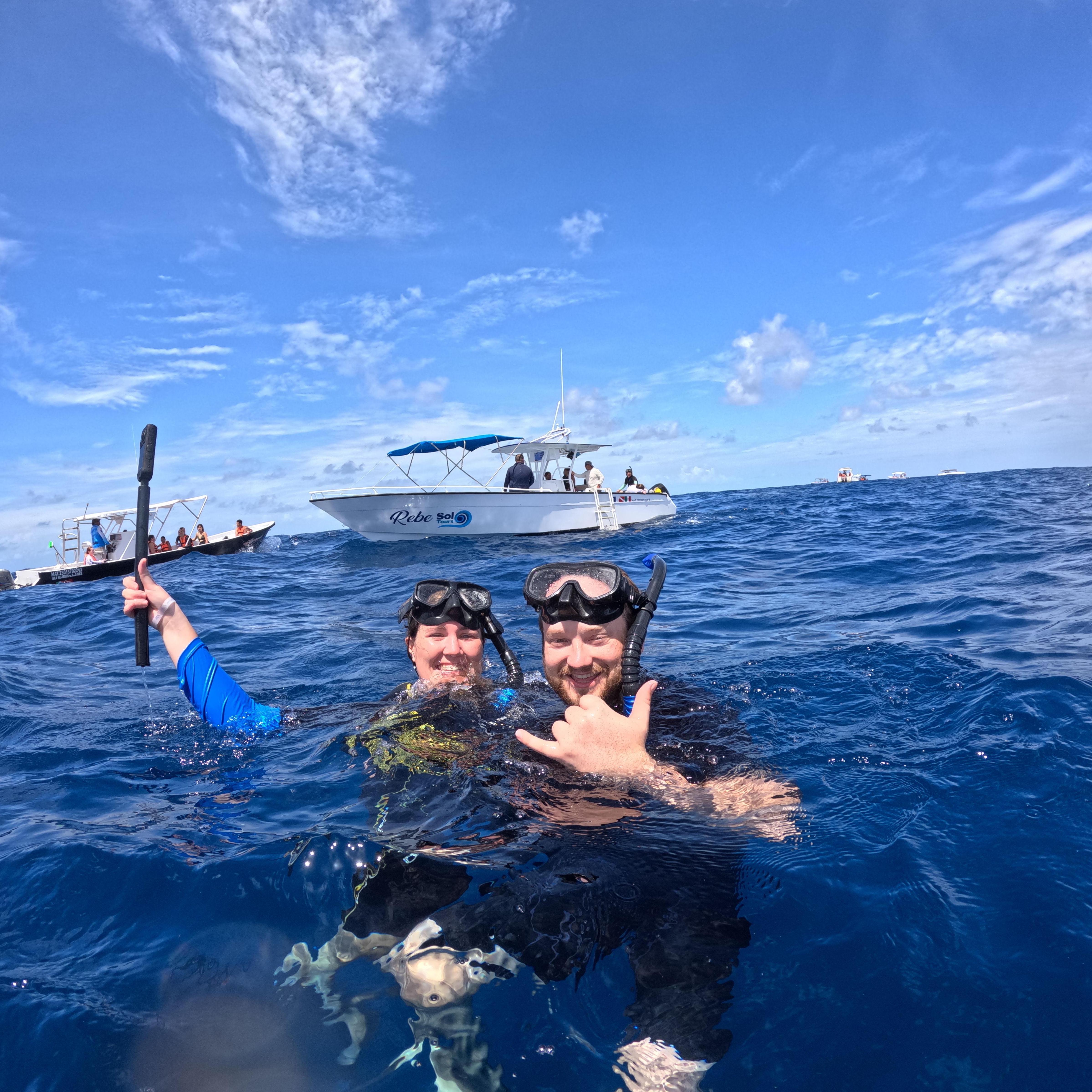Swimming with the Whale Sharks