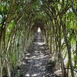 Viles Arboretum