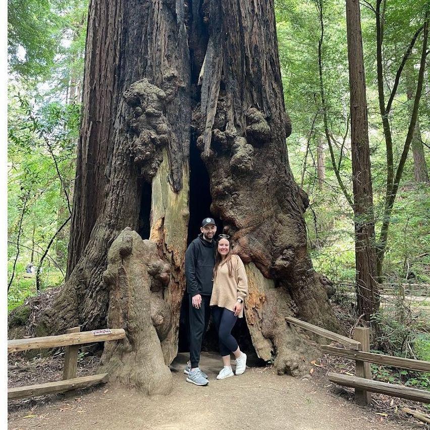 Muir Woods, California