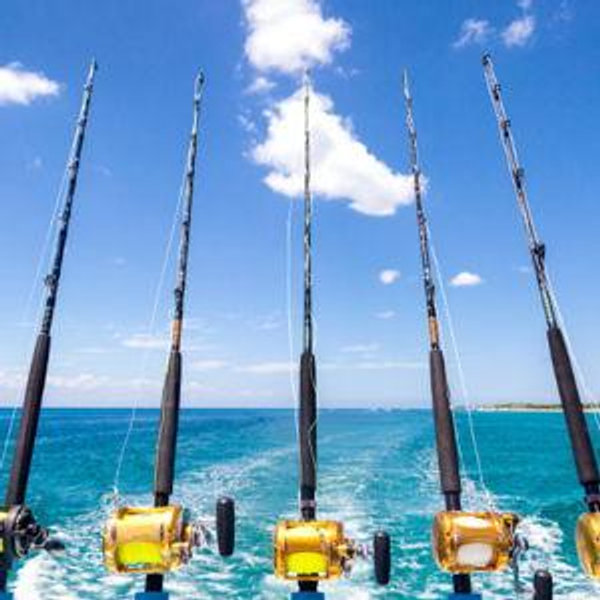 Deep Sea Fishing in Hawaii