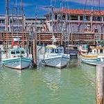 Pier 39 & Fisherman's Wharf