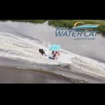 Backwater Cat Adventure
