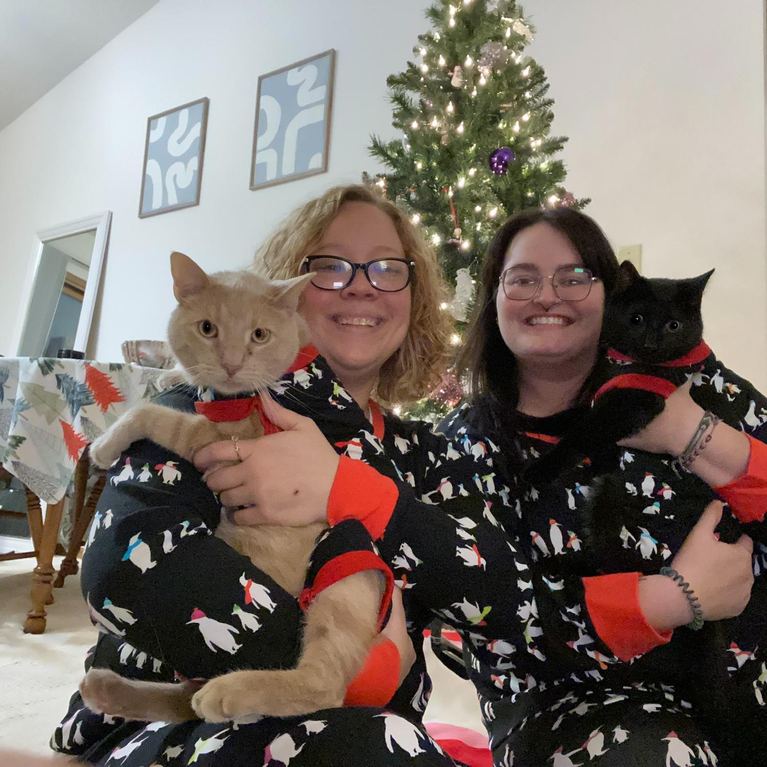 Christmas pictures in our first apartment together