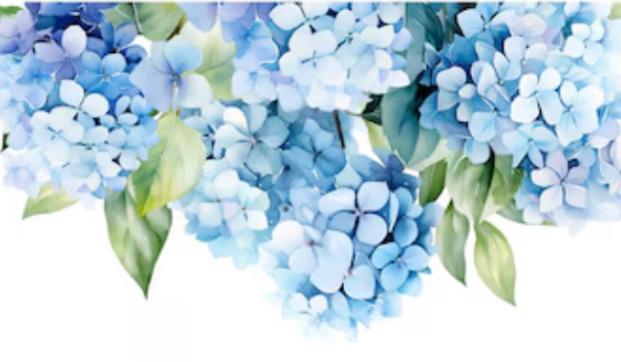 The Wedding Website of Kiley Hubbard and Richard Cardwell