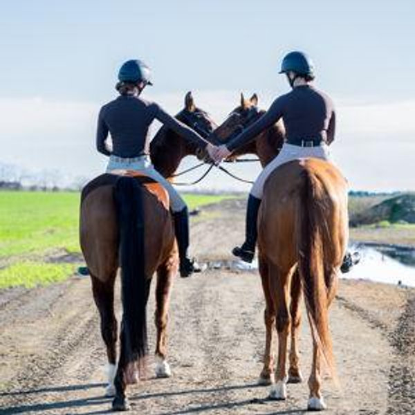 Horse Trailer Fund (Card Contribution)