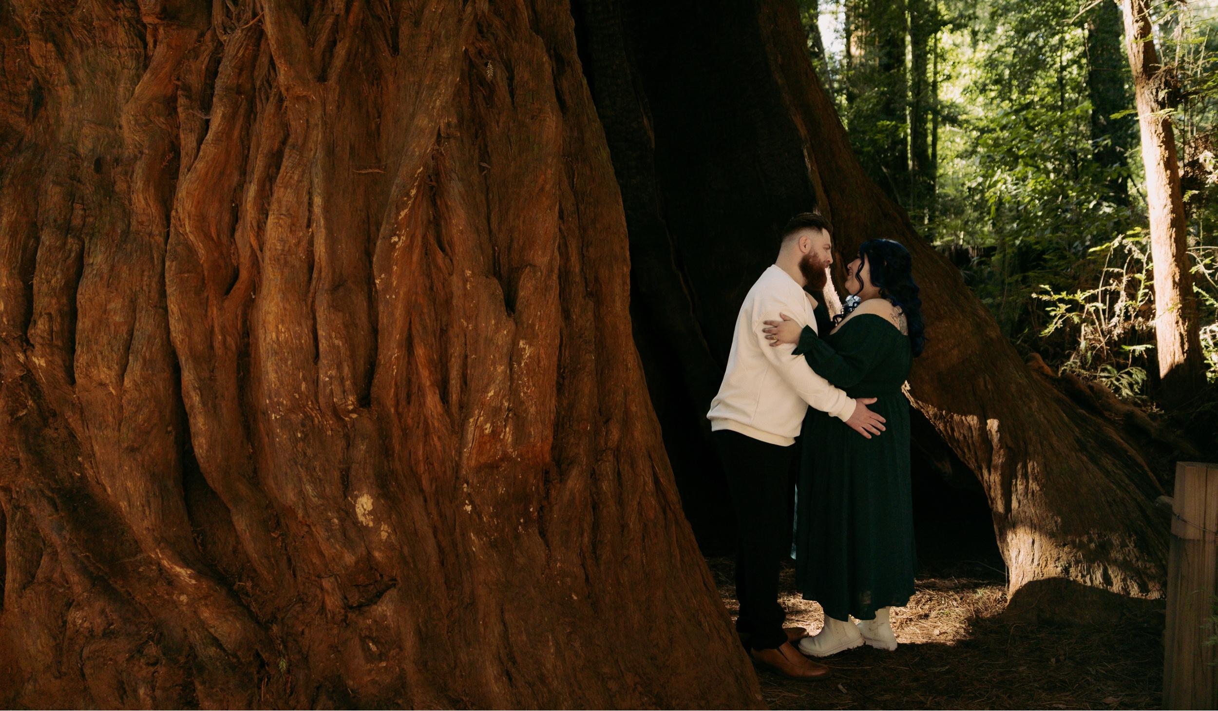 Hero Slideshow Image 2