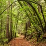 Jack London State Historic Park