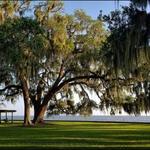 Mandeville Lakefront