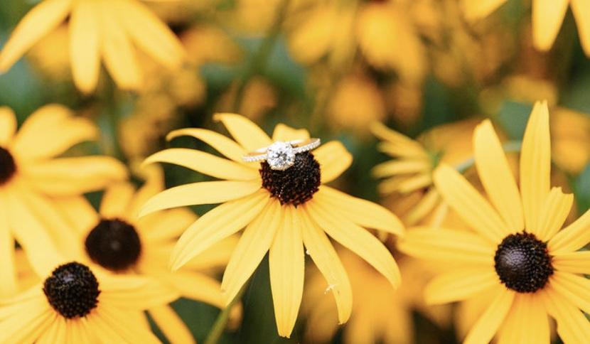 The Wedding Website of Zachary Siriani and Chelsea Collier