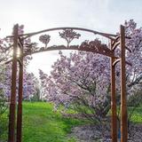 UW-Madison Arboretum