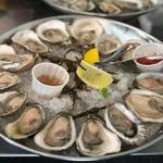 Epic Oyster