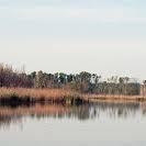 Flynn Township Nature Center