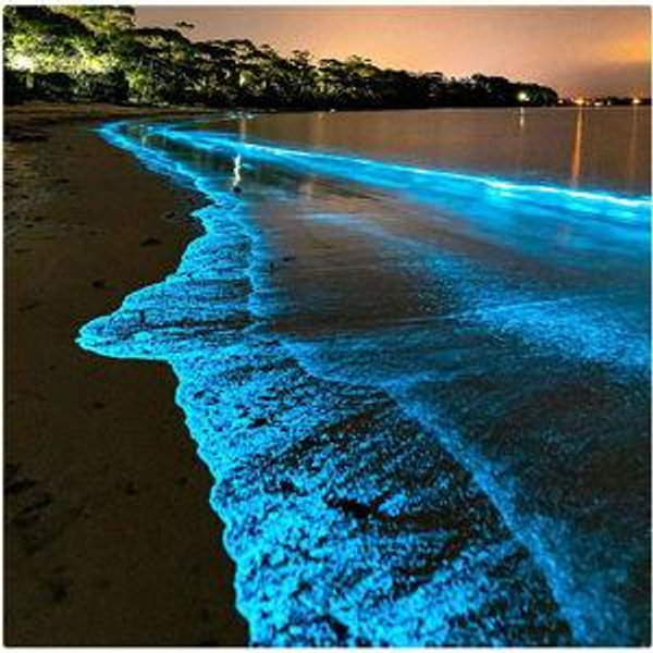 Luminous Lagoon for Two