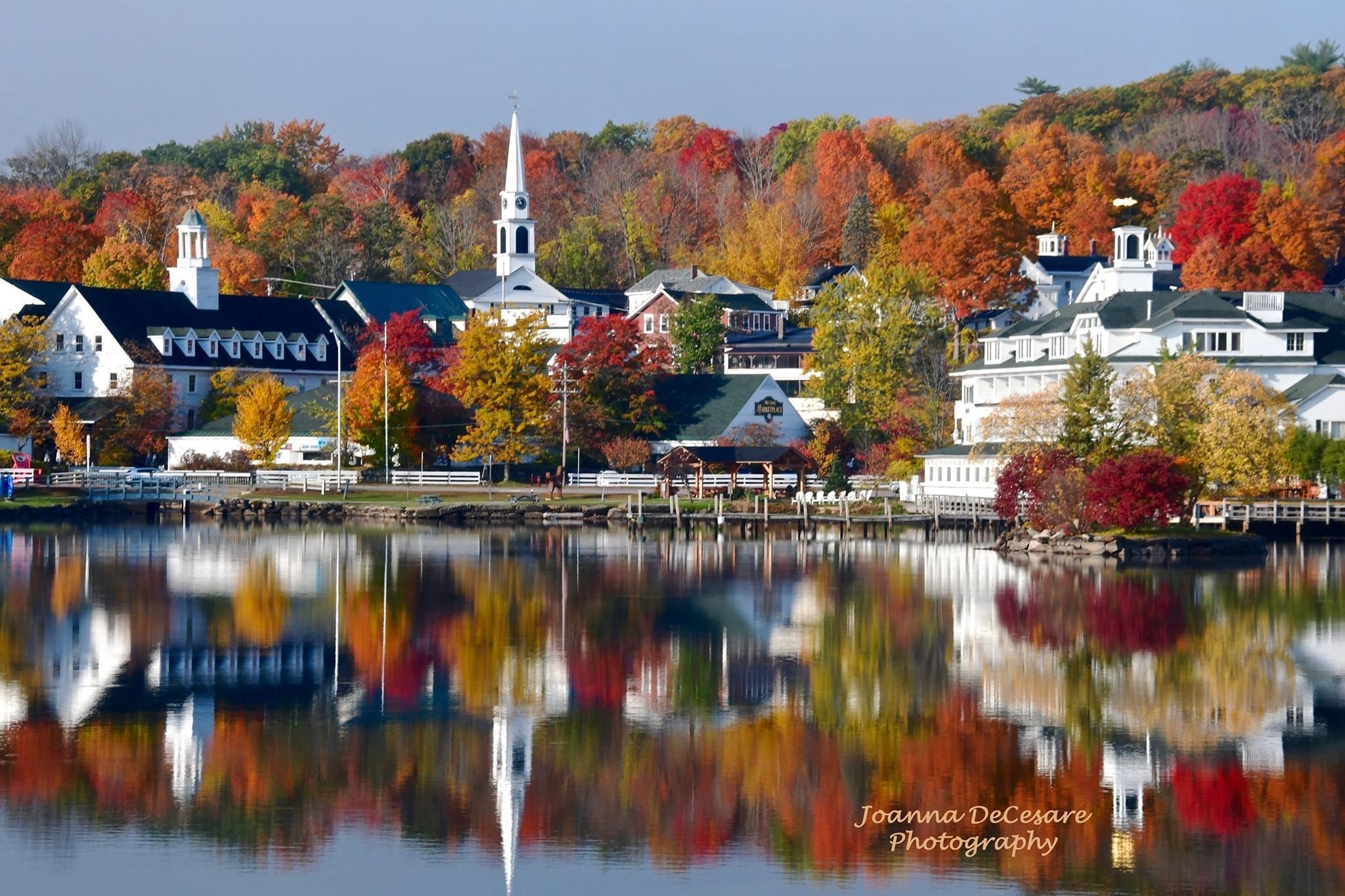 The Wedding Website of Elizabeth Lehmann and Matthew Morgan