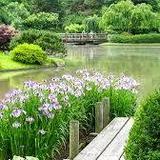Japanese Garden