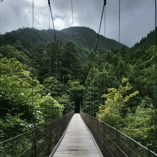 Tokyo-Okutama Day Trip