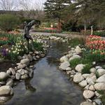 Ashton Gardens at Thanksgiving Point