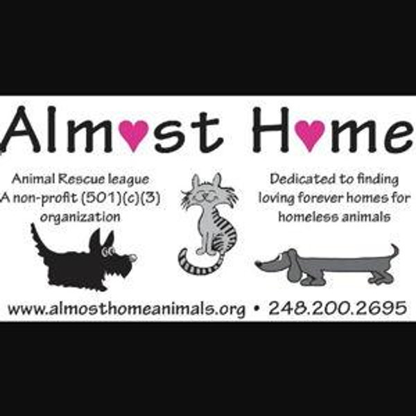 Donation to Almost Home Animal Rescue