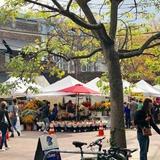 Ballard Market Street and Farmers Market