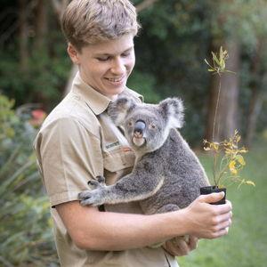 Help Haly Hold a Koala (Since Christian Already Has)