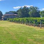 Enoree River Vineyards and Winery