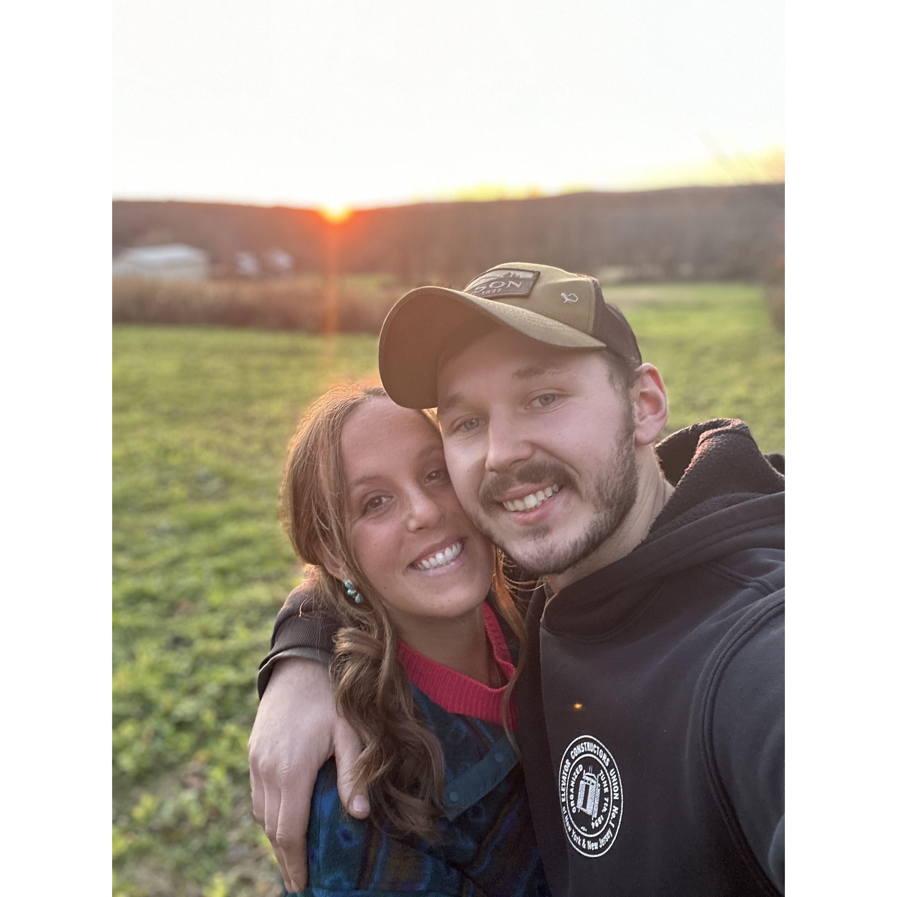 Evenings at the farm