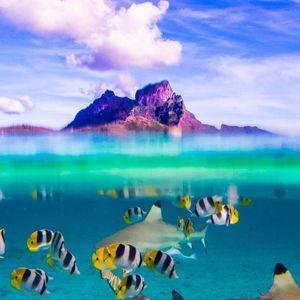 Full Day Snorkel Adventure for Two