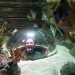 SEA LIFE Kansas City
