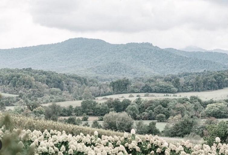 The Wedding Website of Alexandra Altenburg and Spencer McCarron