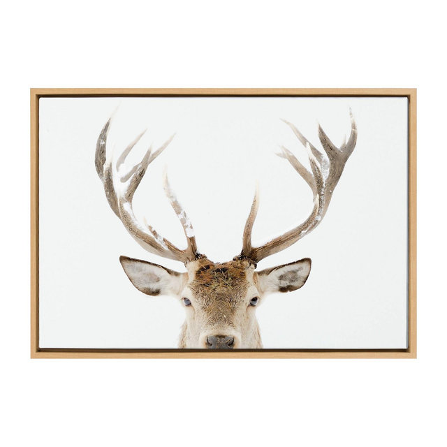 Kate & Laurel All Things Decor 23"x33" Sylvie Stag Peekaboo Framed Canvas Wall Art by Amy Peterson Art Studio Natural Snowy Deer Portrait