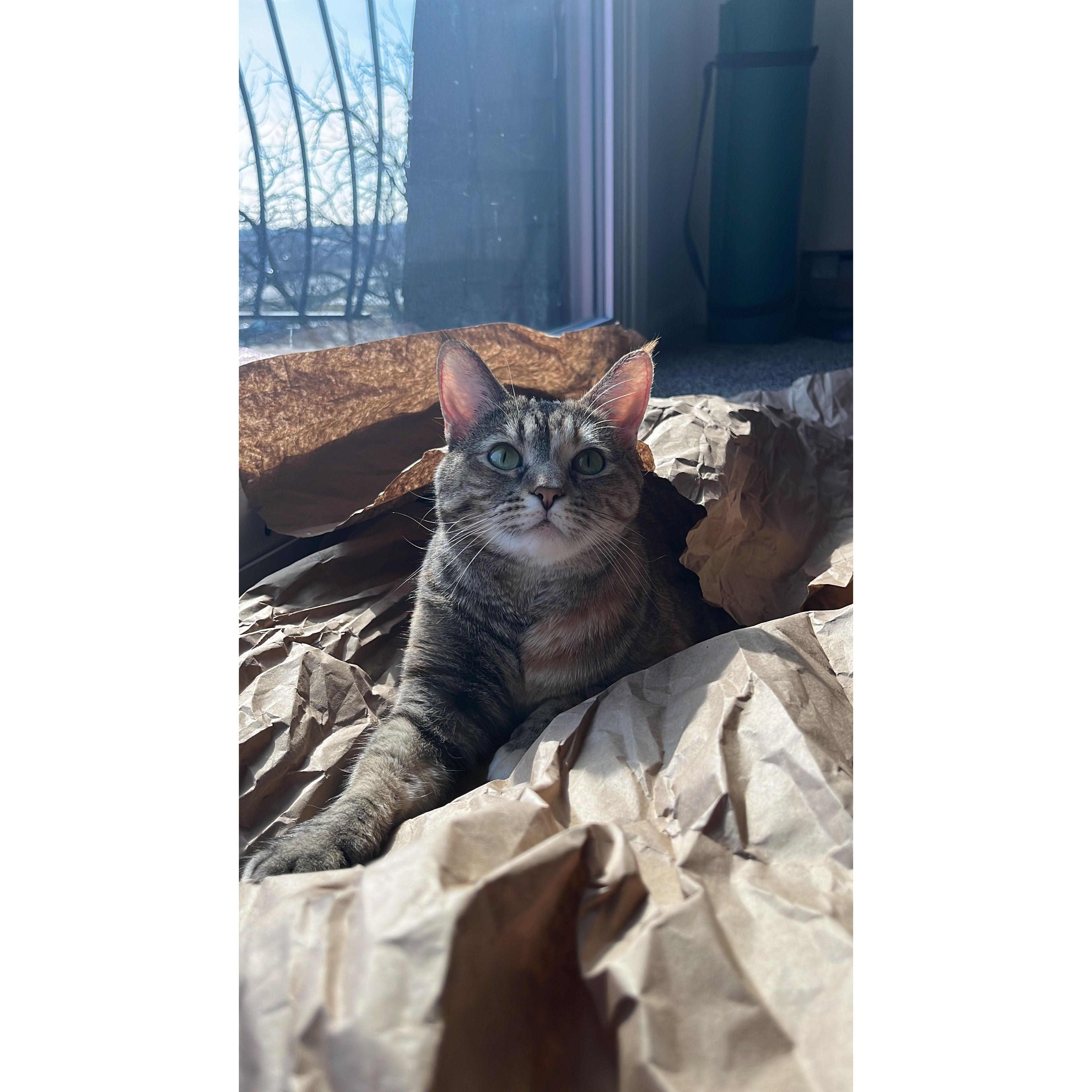 Fiona "Sour Patch"- Mostly sweet with a touch of sass