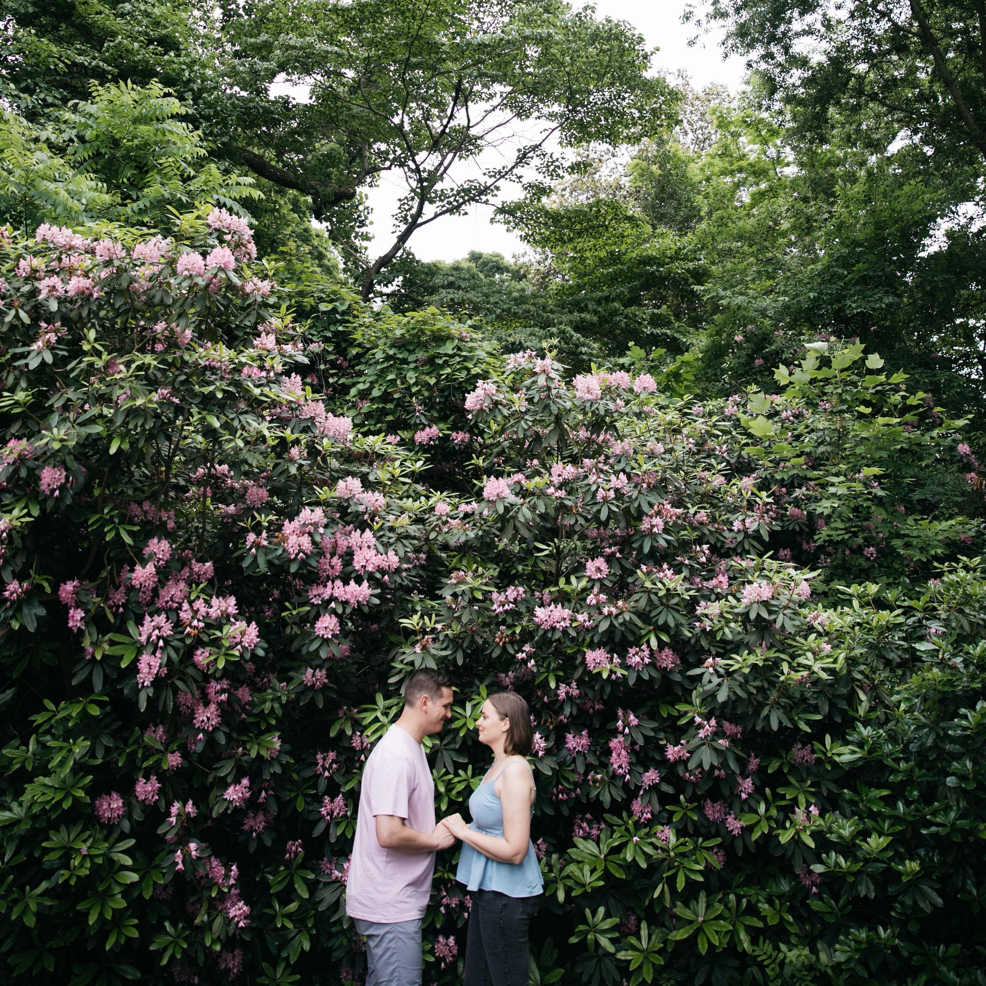 Photos by a giant bush in Maymont (June 2023).