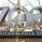 Philadelphia Zoo