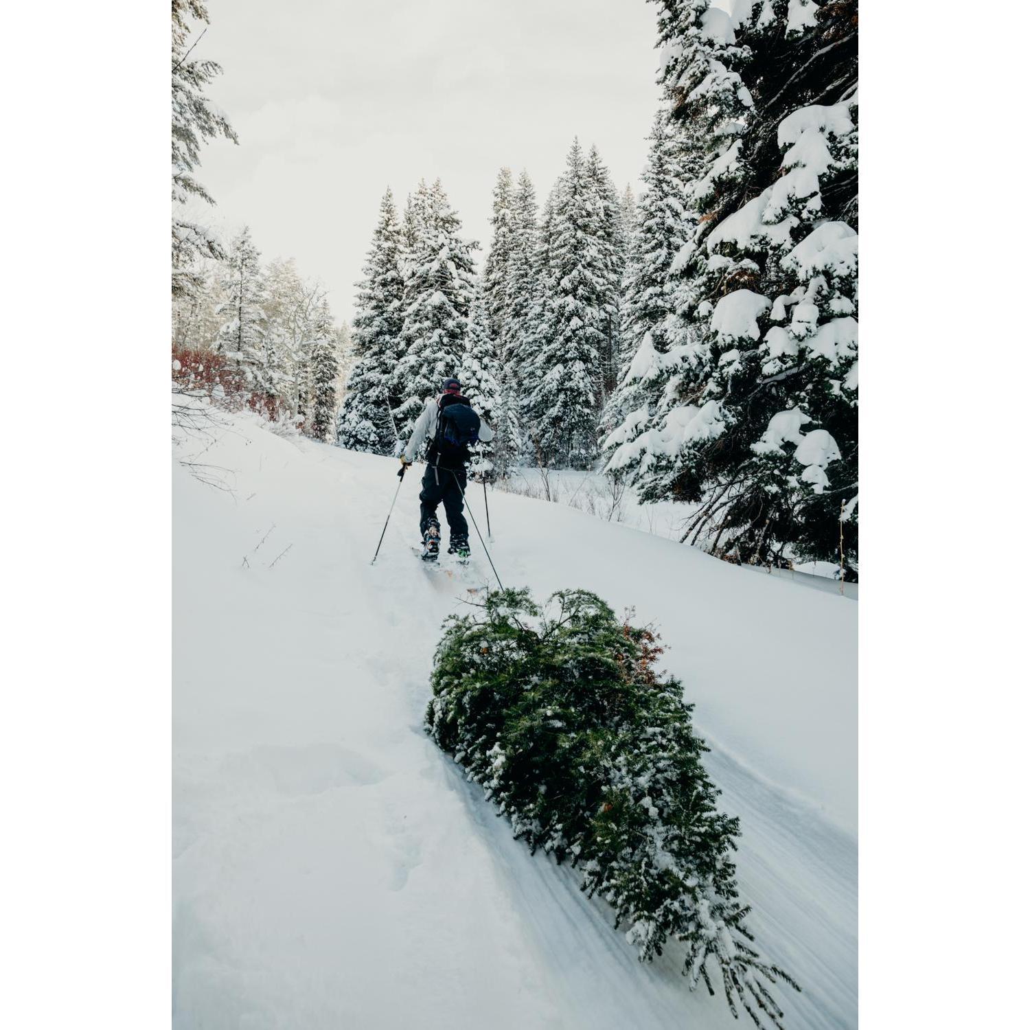 Our first tree together!