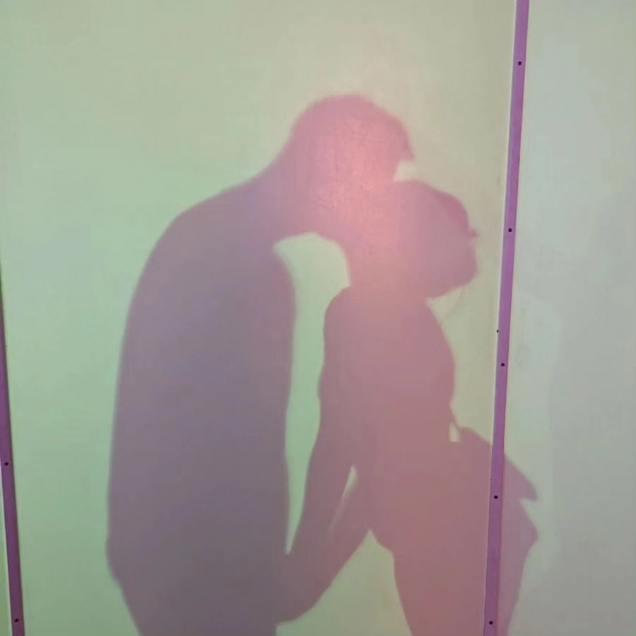 The Wedding Website of Sarah Sookram and Julien Pingitore