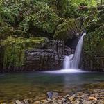 El Yunque National Forest