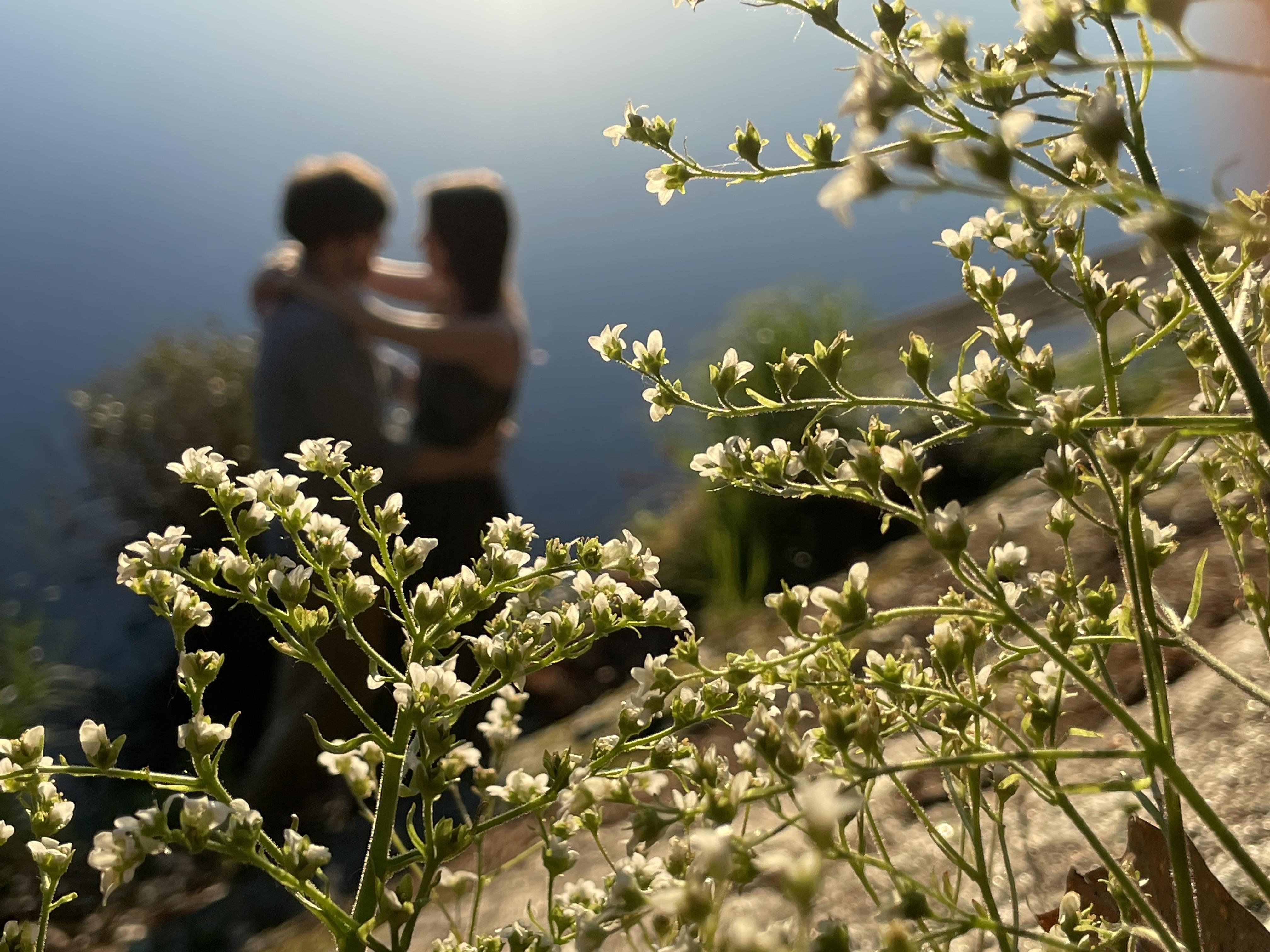 The Wedding Website of Angela Tracy and Jacques Geleyn Mancio