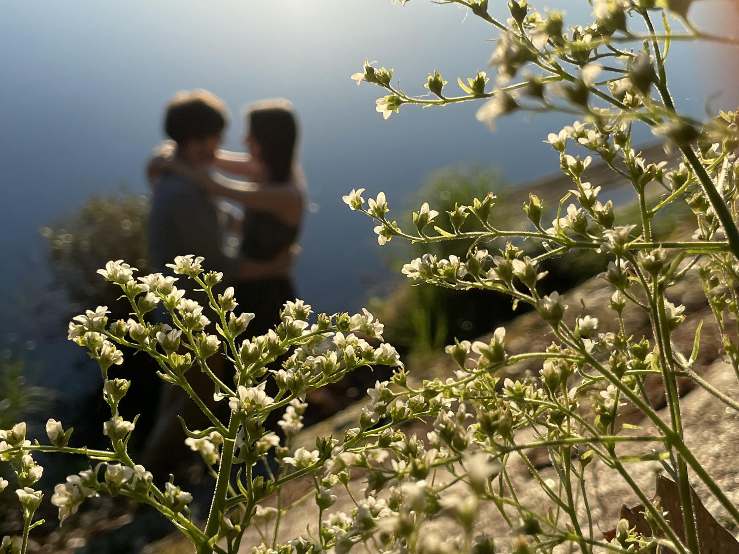 The Wedding Website of Angela Tracy and Jacques Geleyn Mancio