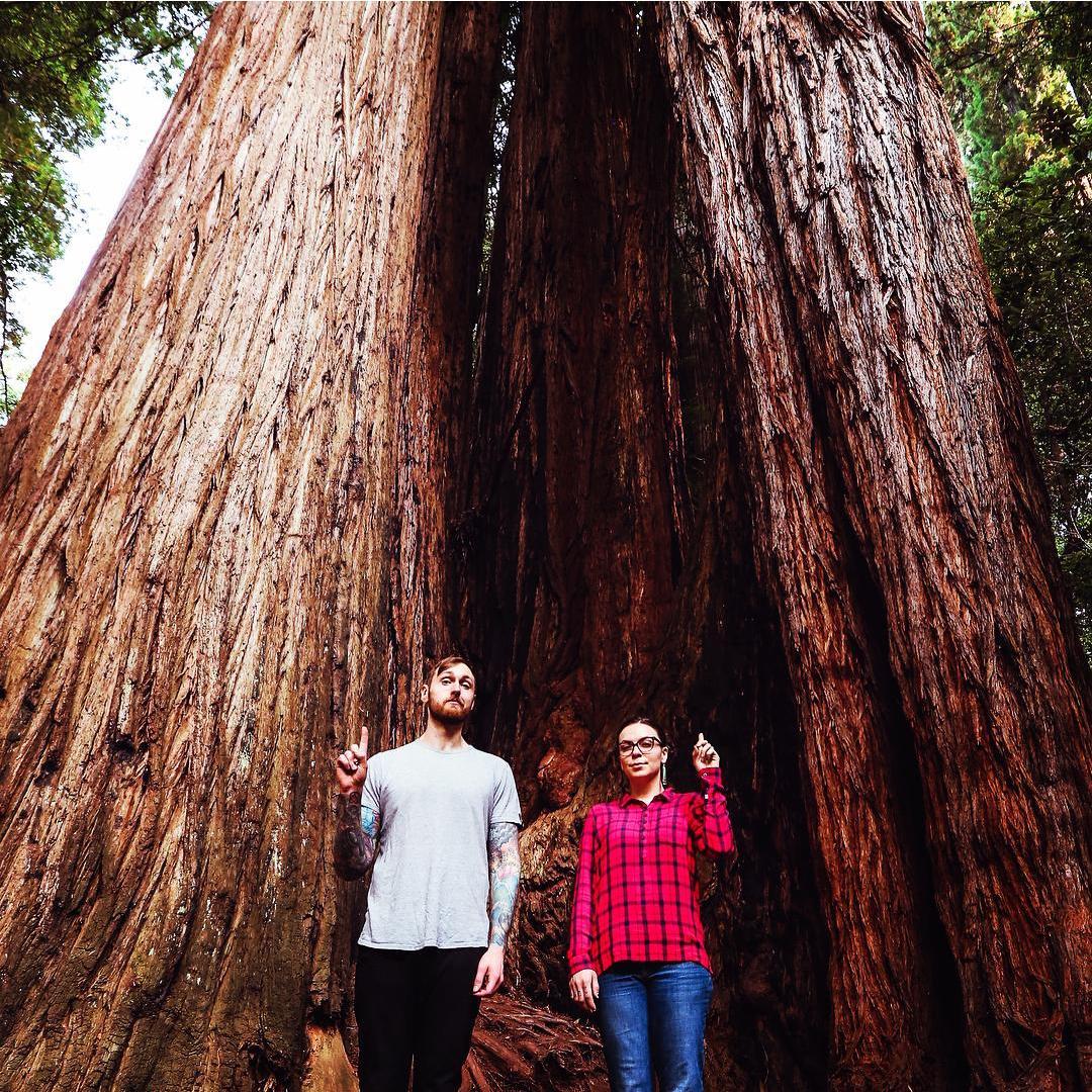 Tall Trees Grove, Redwoods