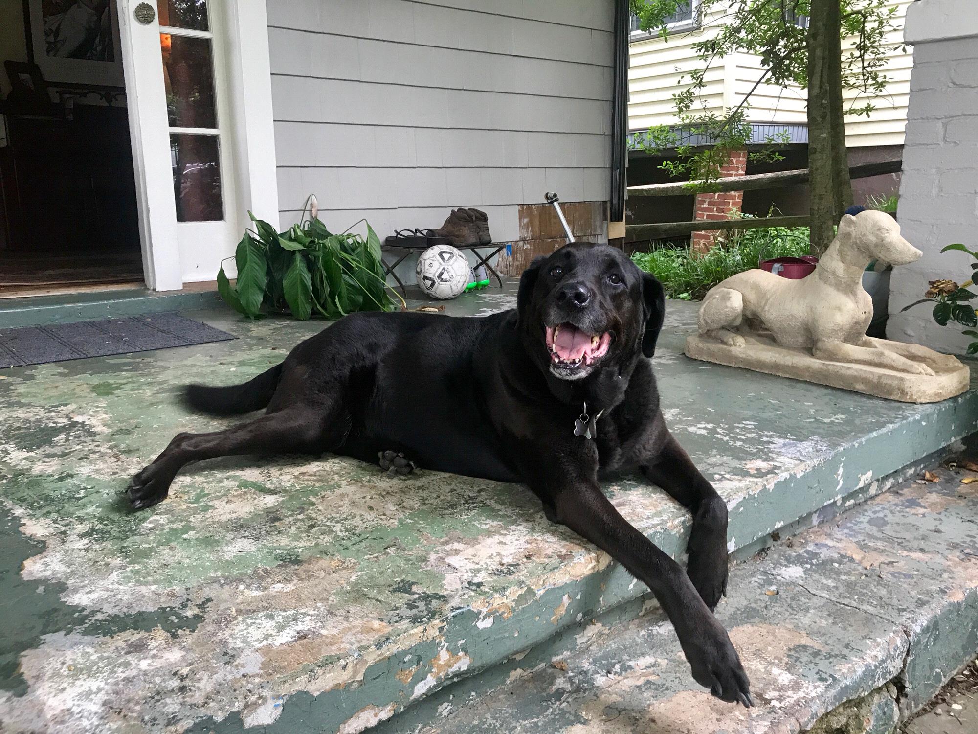 Zuzu approved with all smiles