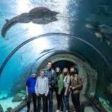 Downtown Aquarium