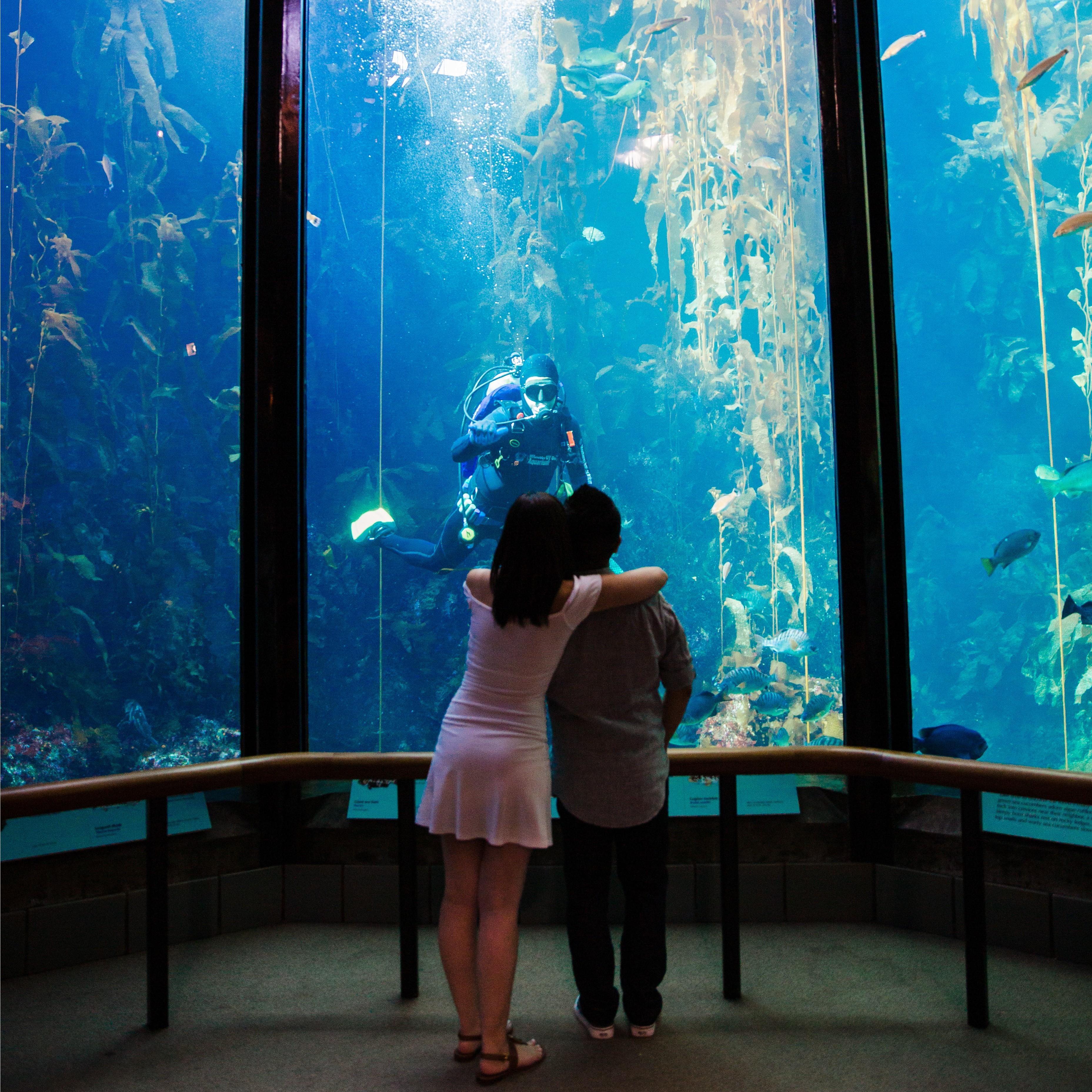 Engagement session in Monterey, CA (2019)