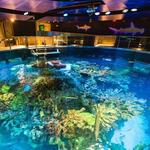 New England Aquarium