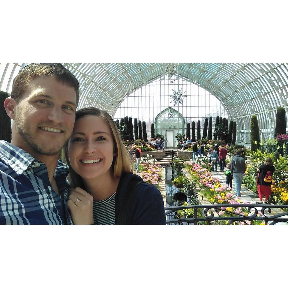 He proposed at the Como Conservatory in St. Paul, MN, April 2017