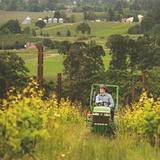 McMinnville Wine Country