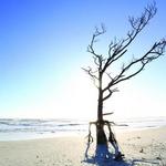 Little Talbot Island