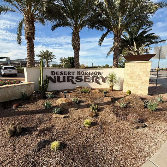 Plants or ( gift cards )