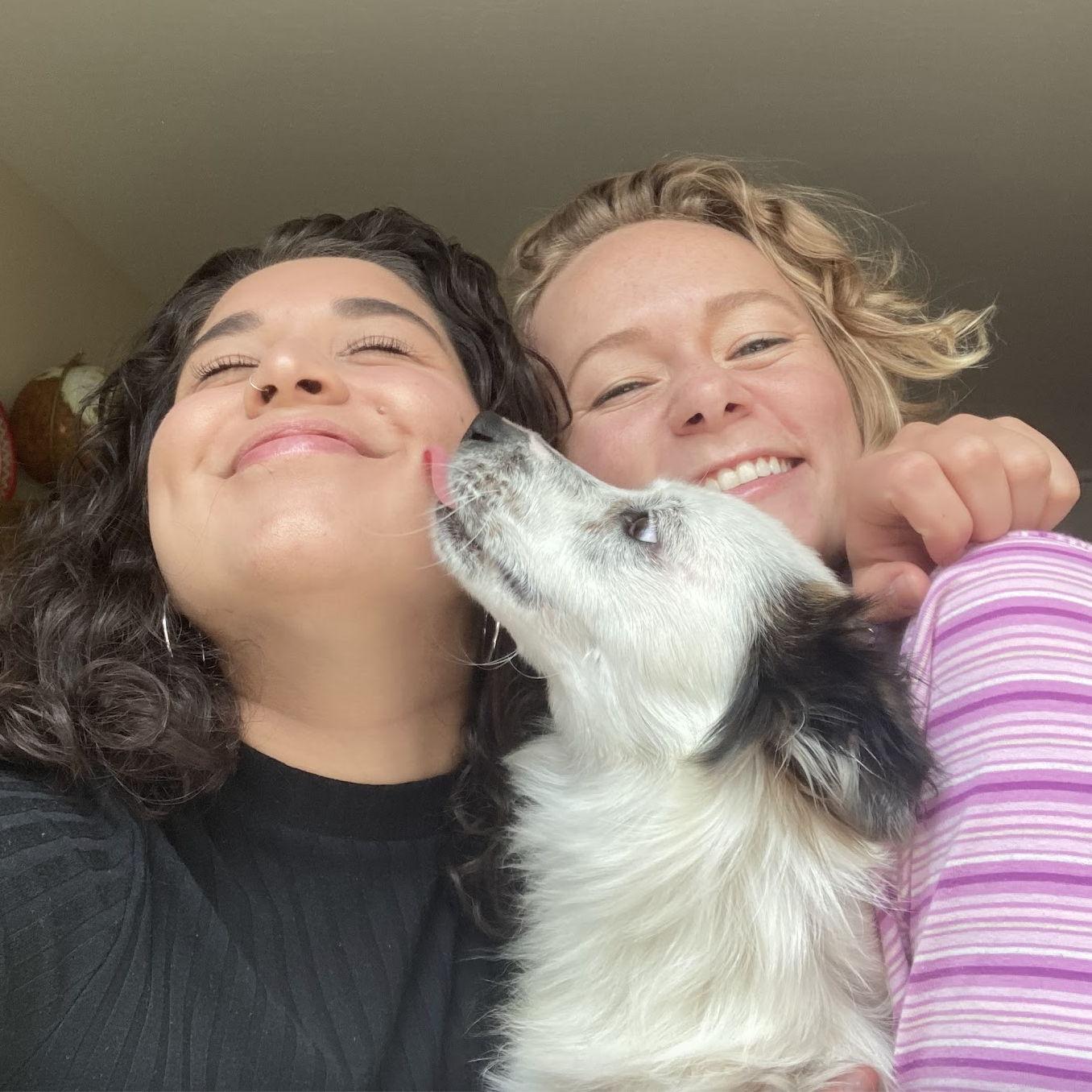 Solomon joins the family! After Gianna wouldn't stop asking "are we getting a dog today.... or tomorrow?"