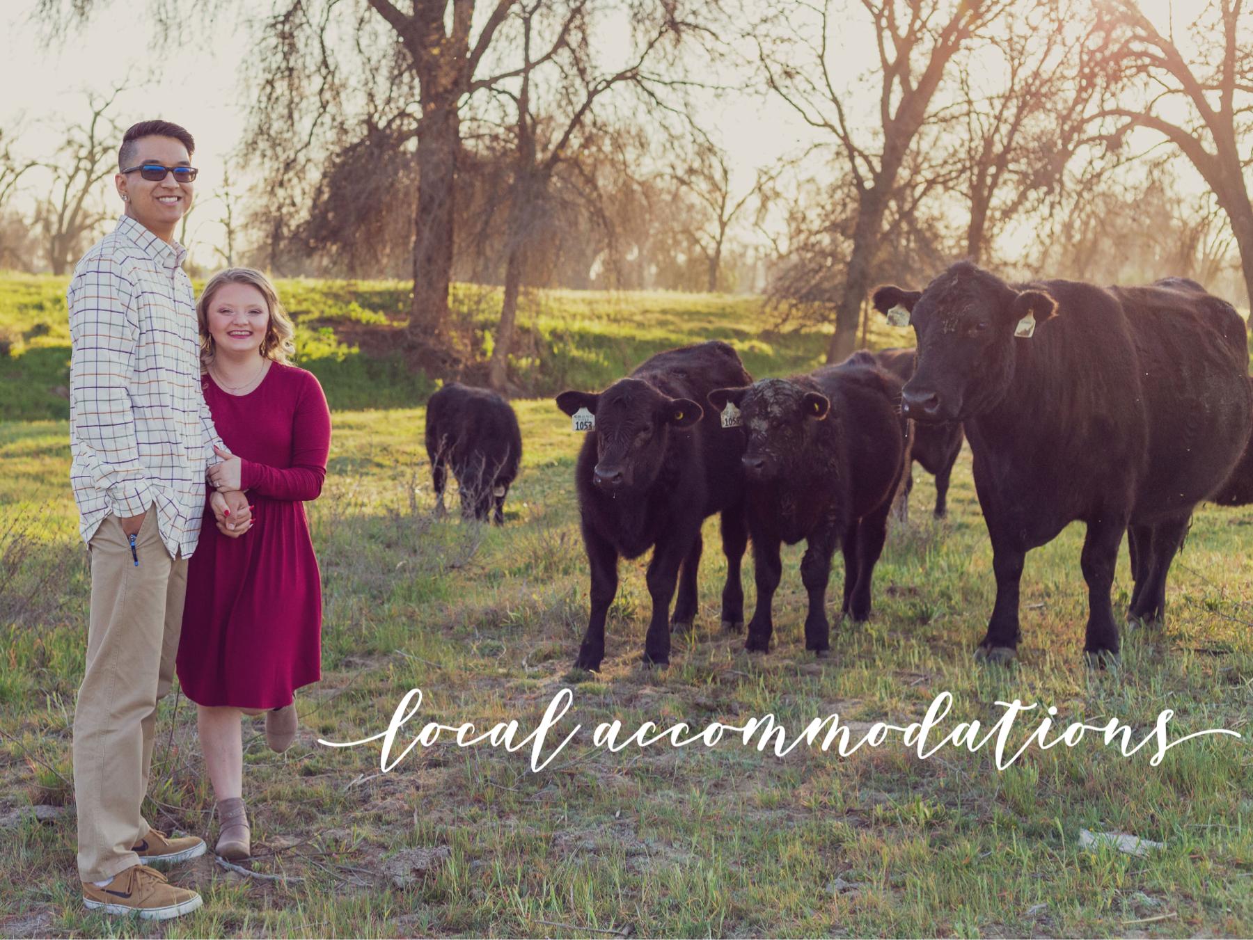The Wedding Website of McKenna Morgan and Nathan Nishimoto