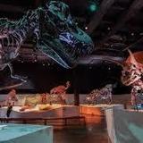 Houston Museum of Natural Sciences